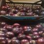 A Quality Red and White Onion 