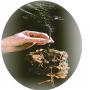 Engrais biologique 