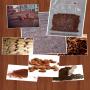 Poudre et beurre de cacao et autres d&eacute;riv&eacute;s 