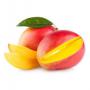 Mangue Cote d'Ivoire 2020