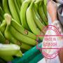 Banane ecuador export 