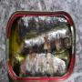 Conserve sardine 