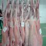 Charcuterie HALAL certifi&eacute; AVS et Viandes
