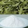 Feuilles de stevia, extraits Rebaudioside A +97%