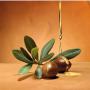 Huile d'Argan bio