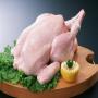 Poulet ukrainien surgel&eacute; en gros, poulet en stock