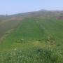 cherche partenaire et investisseur agricole maroc