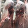 viandes fra&icirc;che avec une certificat halal 