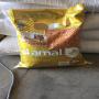 SESAME GOLD POUR VENTE