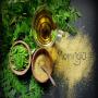 MORINGA DE TUNISIE 2