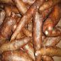 Recherche Manioc Madagascar