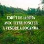 1100 HA de Foret avec titre foncier &agrave; vendre