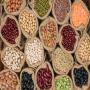 conditionnement de l&eacute;gume sec