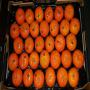 A vendre les fruits et l&eacute;gumes 