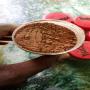 DERIVES DE CACAO 