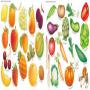 Eden vous propose des fruits et legumes