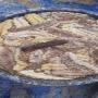 sea cucumber , concombre de mer
