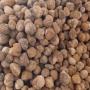 Truffes du desert Terfesse, terf&egrave;ze, terfez