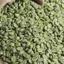 VENTE FÈVES DE CAFE (All Grade | Dry & Roasted)