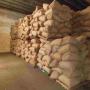 500 Tonnes  de noix de cajou en vente
