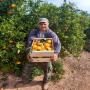 FRUITS ET LEGUMES ESPAGNE