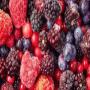 FRUITS  et LEGUMES surgel&eacute;s -export
