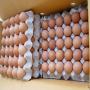 Œufs de poule frais