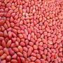 arachides en gros arachide crue peau rouge arachi
