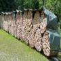 bois de chauffage coup&eacute; 
