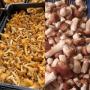 champignons frais, c&egrave;pe, girolles, la chanterelle