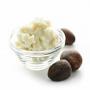 filling and packaging of shea butter 