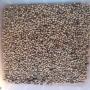 Millet Blanc 