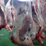 Viande Halal certifi&eacute; b&oelig;uf veau agneau vollaille 