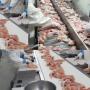 Poulet entier halal et parties / g&eacute;siers