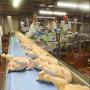 POULET HALAL CONGELE, VIANDE DE CHÈVRE