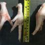 PATTES DE POULET CONGELES BRESIL ET DE FRANCE 