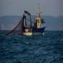 Recherche de partenariat maritime 
