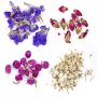 P&eacute;tales fleurs s&eacute;ch&eacute;es 