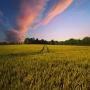 Alimentation animale. Biologique & Conventionnel