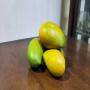 Mangue Boukadi&eacute;khal