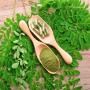 MORINGA DE TUNISIE 1