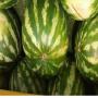 melon et past&egrave;que