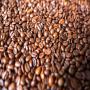 CAFE / ROBUSTA