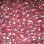 Haricots rouges petits grains
