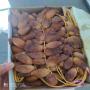 Dattes fra&icirc;che D'Algerie 
