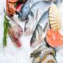 Vente de poissons frais ou congel&eacute;s de la Tunisie