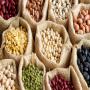pois chiche, lentilles, haricots 