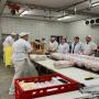 KEBAB AND FROZEN CHICKEN FROM SPAIN  HIGH QUALITY