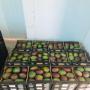 Mangue pour le Maroc 