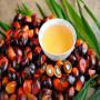 Huile de palmiste 100 % pure en vente !